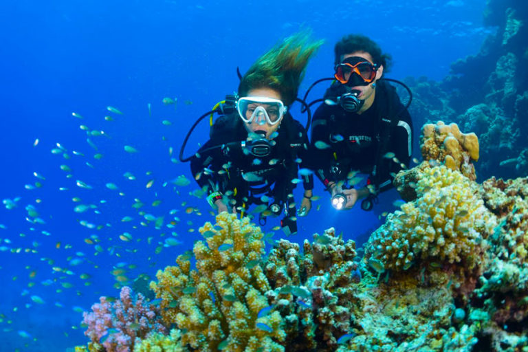 Bali Diving Bali Tour Packages Bali Tour Operators Bali Tour Company