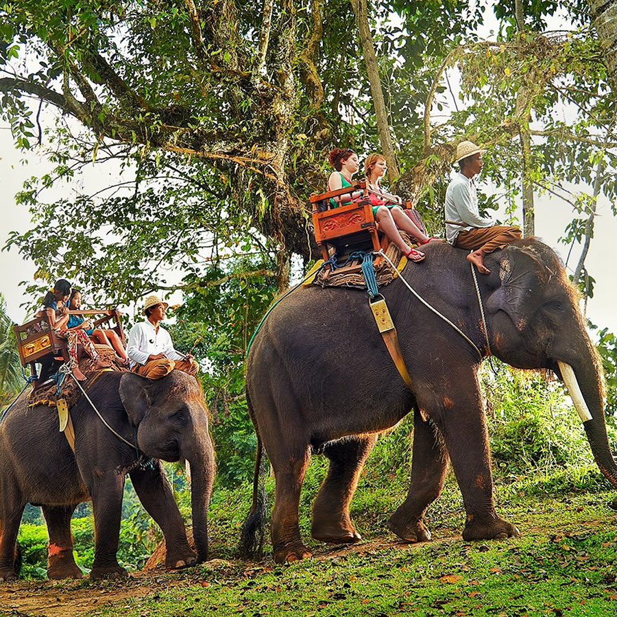 Bali Elephant Safari Ride and Ubud Tour