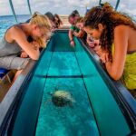 Glass Bottom Boat | Bali Water Sport Activities | Bali Activities Tour Package | Wego Bali Tour | wegobalitour.com