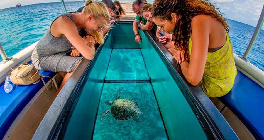 Glass Bottom Boat | Bali Water Sport Activities | Bali Activities Tour Package | Wego Bali Tour | wegobalitour.com