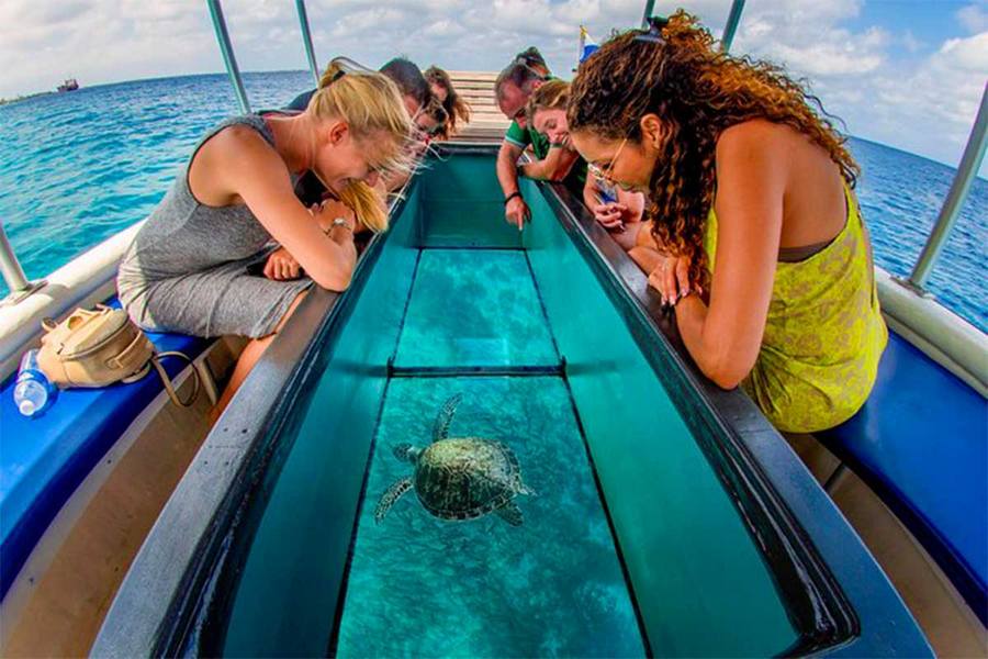 Glass Bottom Boat | Bali Water Sport Activities | Bali Activities Tour Package | Wego Bali Tour | wegobalitour.com