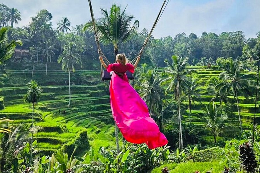 bali adventure tour, bali swing